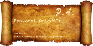Pankotai Acicét névjegykártya